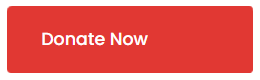 Donate Now Button